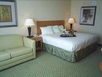 Sani Asterias Ξενοδοχείο Παραλία Σάνη