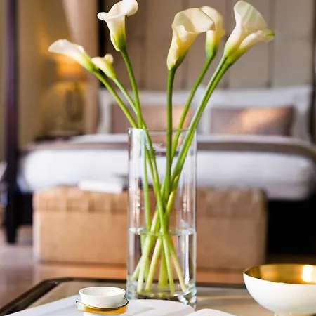 호텔 Sani Asterias